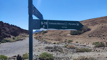 Canaries-Avril-2025-026