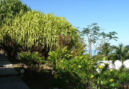 Malendure-mai-2007