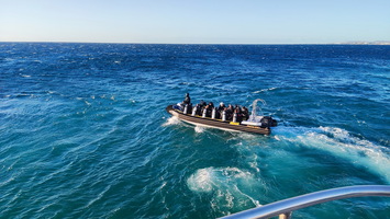 Nautil-Evo-nov-2024-028