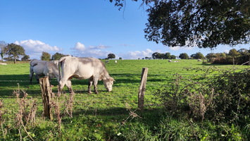 Roussay-oct-2024-19