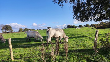 Roussay-oct-2024-20