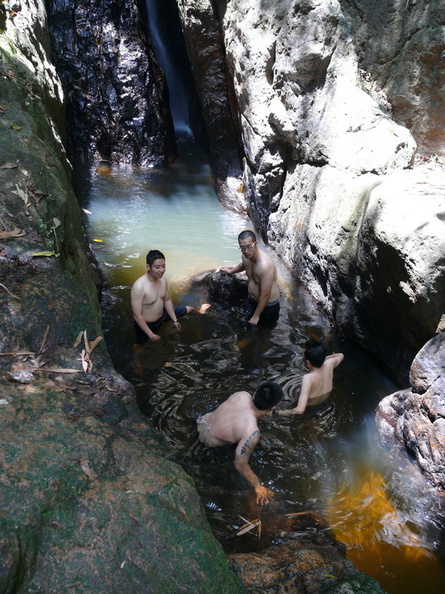 3_elephants_jungle07.JPG