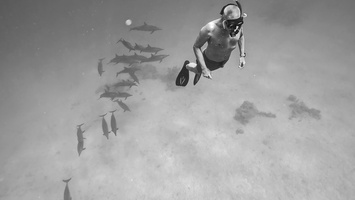 Sous l'eau 01