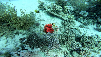 Sous l'eau 09