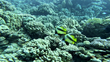 Sous l'eau 10
