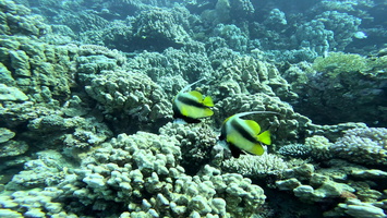Sous l'eau 11