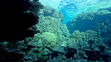 Sous l'eau 12