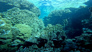 Sous l'eau 13