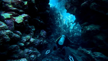 Sous l'eau 14