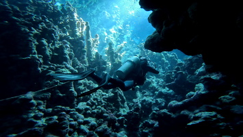 Sous l'eau 15