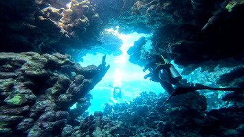 Sous l'eau 16