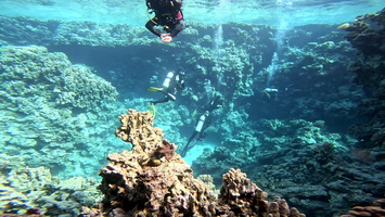 Sous l'eau 18