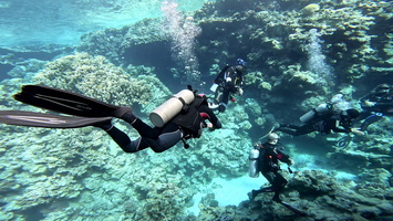Sous l'eau 19