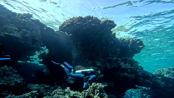 Sous l'eau 20