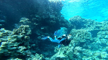 Sous l'eau 21