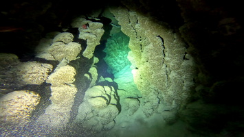 Sous l'eau 23