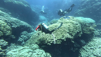 Sous l'eau 36