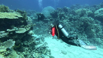 Sous l'eau 37