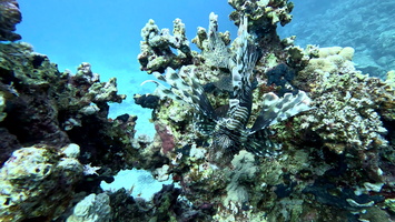 Sous l'eau 38