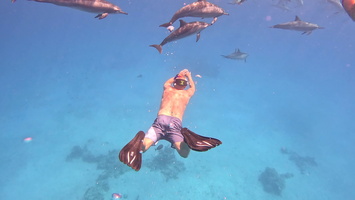 Sous l'eau 41