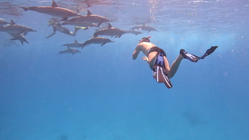 Sous l'eau 44