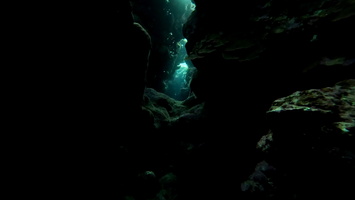 Sous l'eau 54