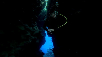 Sous l'eau 55