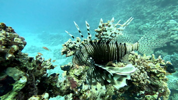Sous l'eau 64