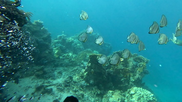 Sous l'eau 65