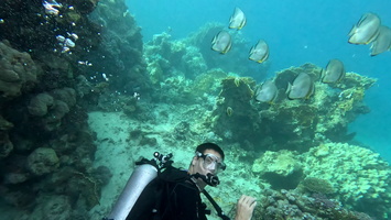 Sous l'eau 66