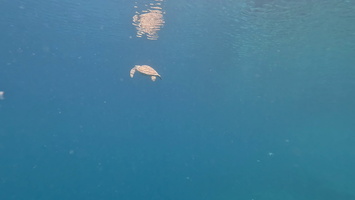 Sous l'eau 68