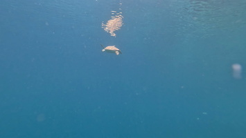 Sous l'eau 69