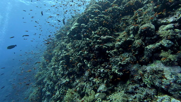Sous l'eau 70