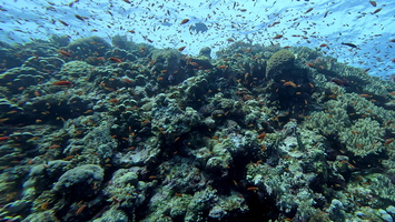 Sous l'eau 71