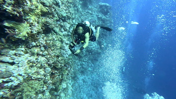 Sous l'eau 73