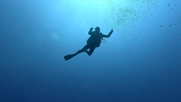 Sous l'eau 74