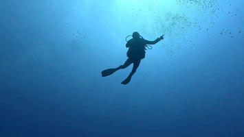 Sous l'eau 75