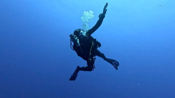 Sous l'eau 77