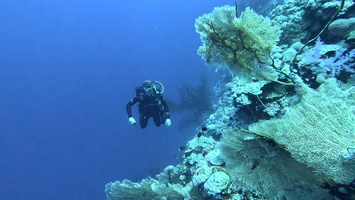 Sous l'eau 100